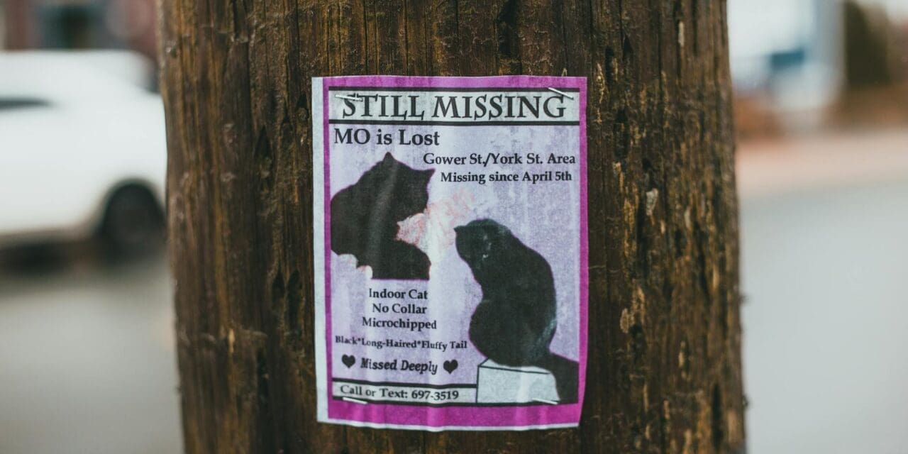 Workflow Trick: Set Callback Reminders for Missed Calls on iPhone